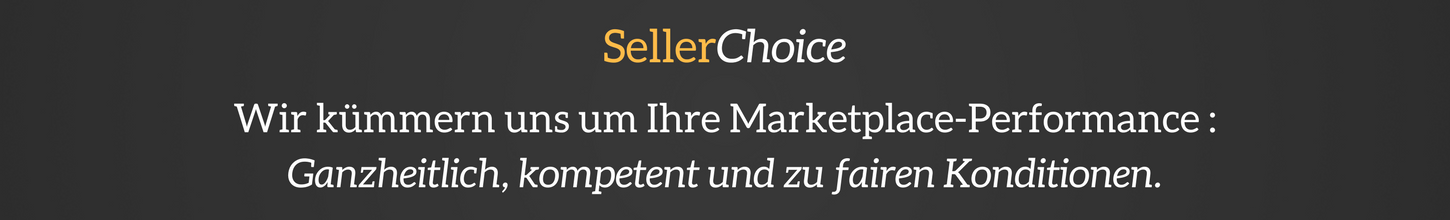 Amazon Agentur-eBay Agentur-Marketplace Agentur-Amazon Beratung und eBay Beratung